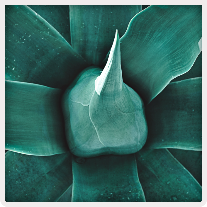 TDEM_AGAVE3