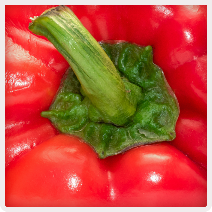 PIMIENTO
