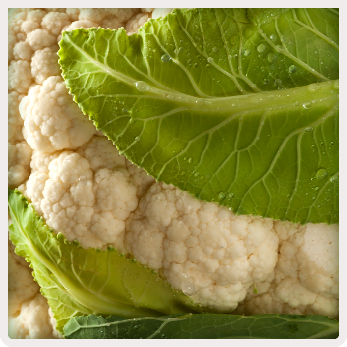 TDEM_coliflor